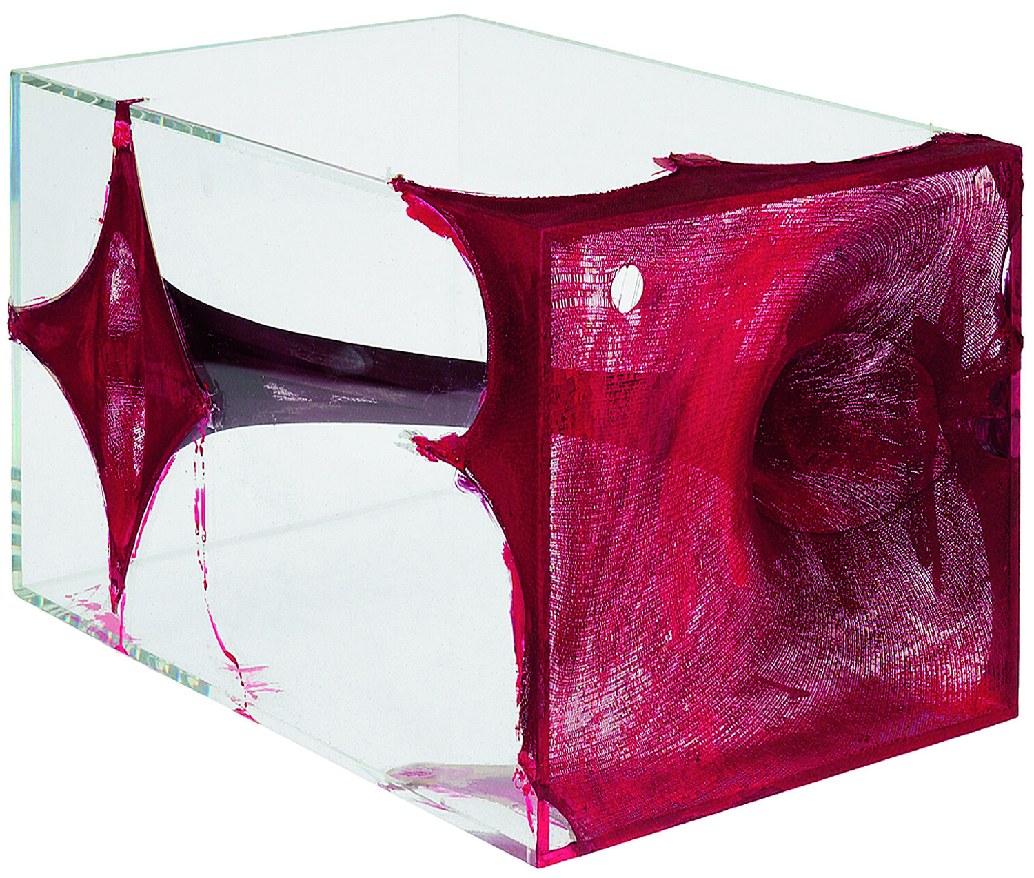 Anish Kapoor