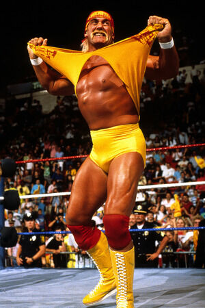 Hulk Hogan