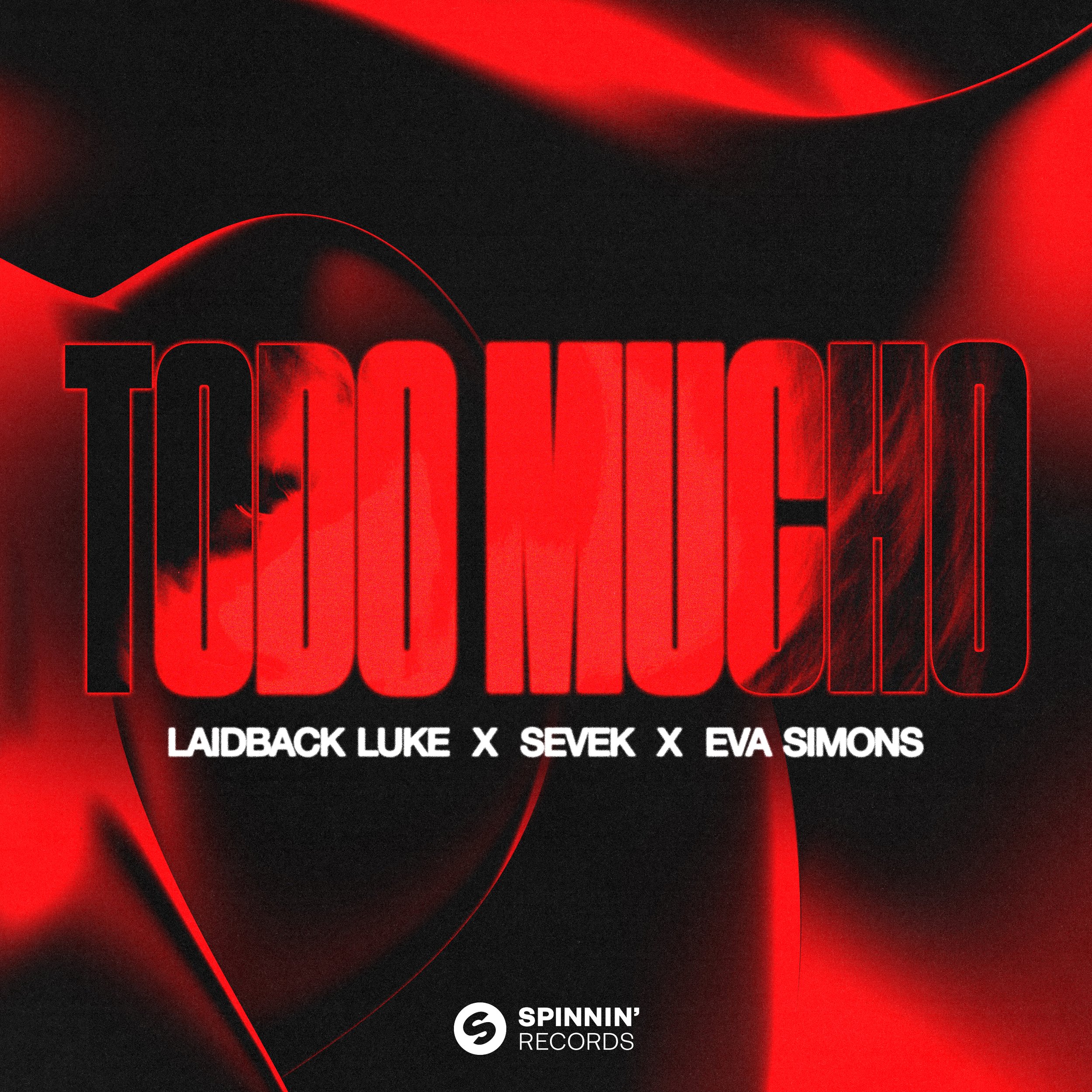 Laidback Luke