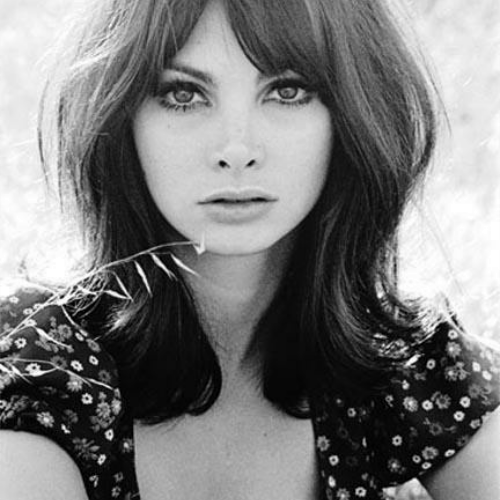 Toni Basil